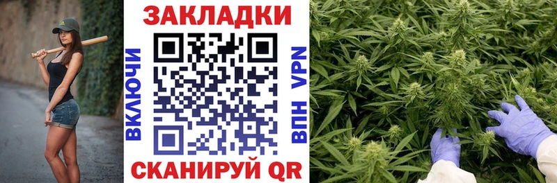 Где купить наркотики Боровичи Амфетамин  СК  Мефедрон  КОКАИН  Конопля 