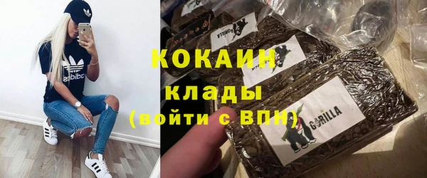 гашик Алзамай