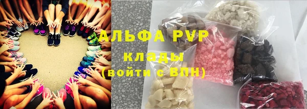гидра Алексин