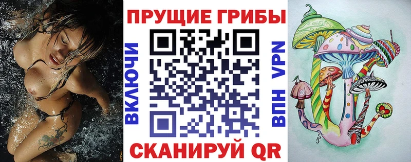 Галлюциногенные грибы Cubensis  Боровичи 